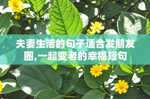 夫妻生活的句子适合发朋友圈,一起变老的幸福短句