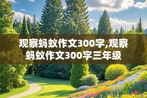 观察蚂蚁作文300字,观察蚂蚁作文300字三年级