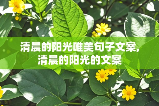 清晨的阳光唯美句子文案,清晨的阳光的文案