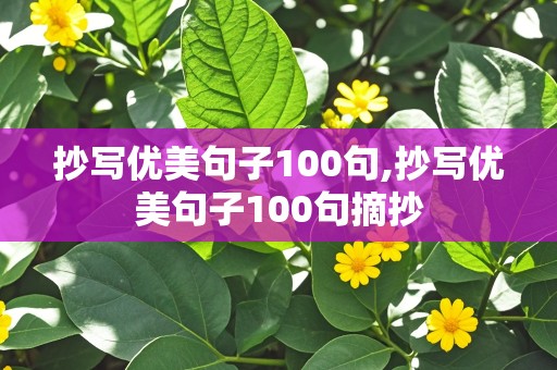 抄写优美句子100句,抄写优美句子100句摘抄