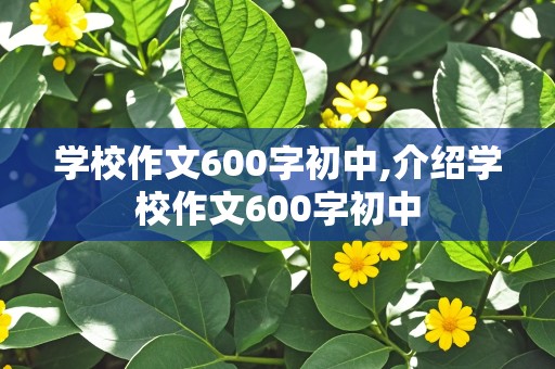 学校作文600字初中,介绍学校作文600字初中