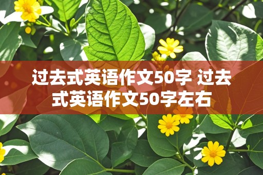 过去式英语作文50字 过去式英语作文50字左右