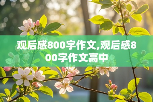 观后感800字作文,观后感800字作文高中