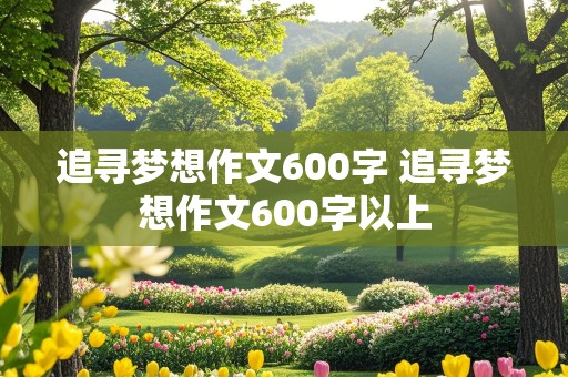 追寻梦想作文600字 追寻梦想作文600字以上