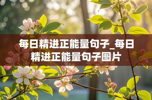 每日精进正能量句子_每日精进正能量句子图片