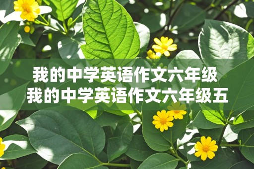 我的中学英语作文六年级 我的中学英语作文六年级五句话