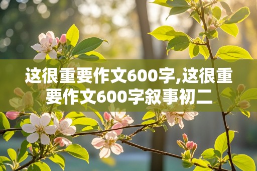 这很重要作文600字,这很重要作文600字叙事初二