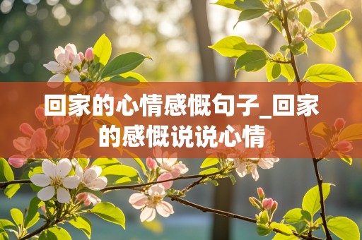 回家的心情感慨句子_回家的感慨说说心情