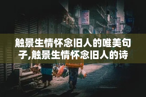 触景生情怀念旧人的唯美句子,触景生情怀念旧人的诗句