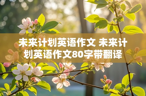 未来计划英语作文 未来计划英语作文80字带翻译