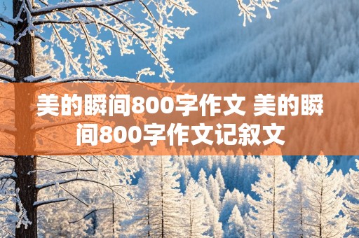 美的瞬间800字作文 美的瞬间800字作文记叙文