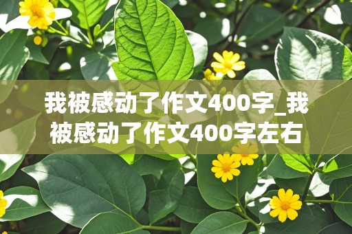 我被感动了作文400字_我被感动了作文400字左右