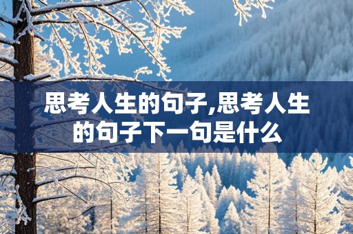 思考人生的句子,思考人生的句子下一句是什么