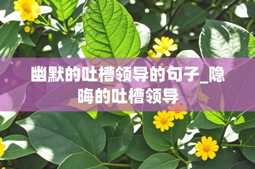 幽默的吐槽领导的句子_隐晦的吐槽领导