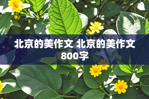 北京的美作文 北京的美作文800字