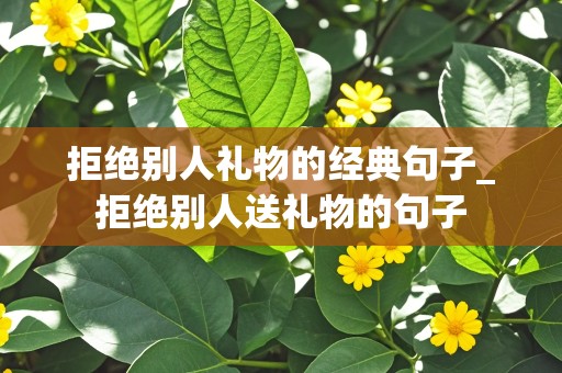 拒绝别人礼物的经典句子_拒绝别人送礼物的句子