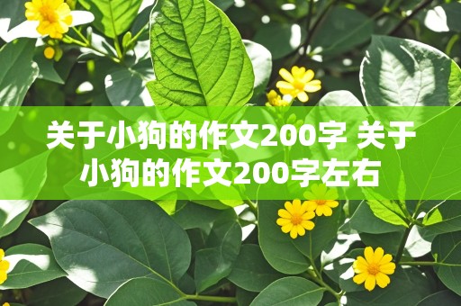 关于小狗的作文200字 关于小狗的作文200字左右