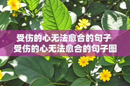 受伤的心无法愈合的句子 受伤的心无法愈合的句子图片