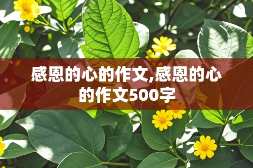 感恩的心的作文,感恩的心的作文500字