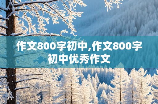 作文800字初中,作文800字初中优秀作文