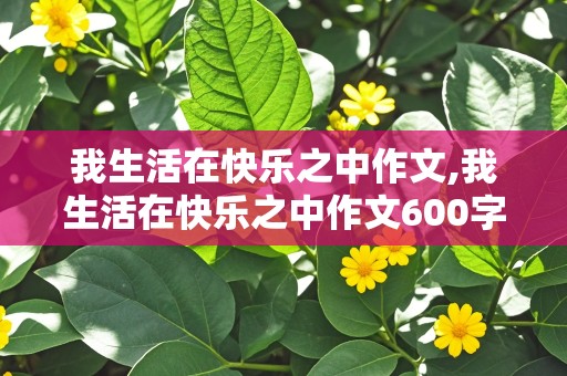 我生活在快乐之中作文,我生活在快乐之中作文600字