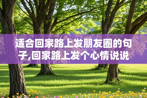 适合回家路上发朋友圈的句子,回家路上发个心情说说