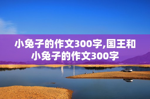 小兔子的作文300字,国王和小兔子的作文300字