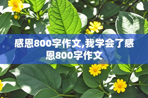 感恩800字作文,我学会了感恩800字作文