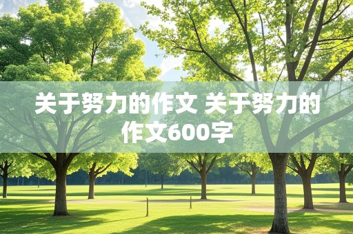 关于努力的作文 关于努力的作文600字