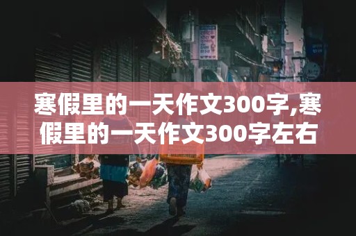 寒假里的一天作文300字,寒假里的一天作文300字左右