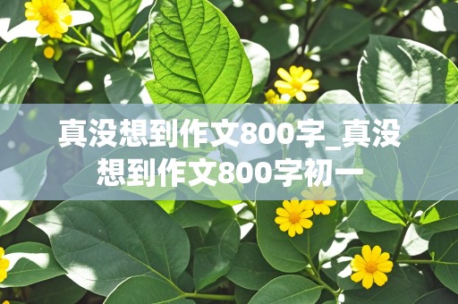 真没想到作文800字_真没想到作文800字初一