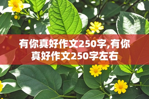 有你真好作文250字,有你真好作文250字左右