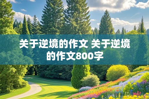 关于逆境的作文 关于逆境的作文800字