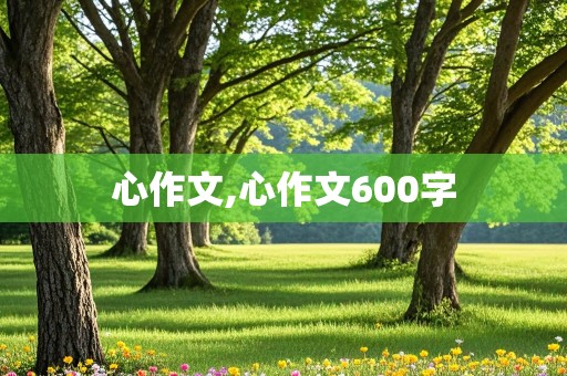 心作文,心作文600字