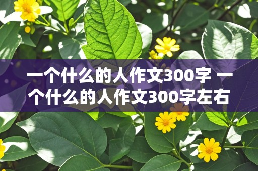 一个什么的人作文300字 一个什么的人作文300字左右