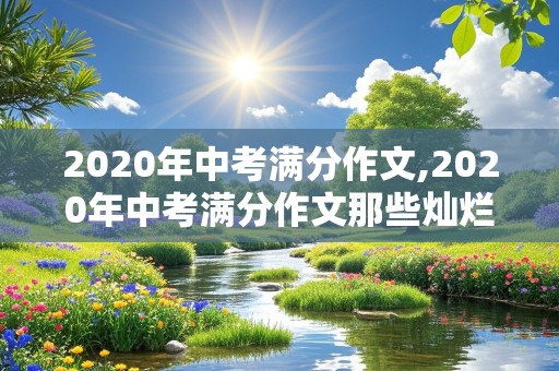 2020年中考满分作文,2020年中考满分作文那些灿烂的细节