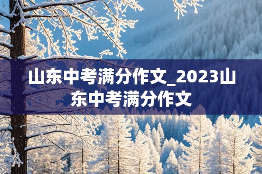 山东中考满分作文_2023山东中考满分作文