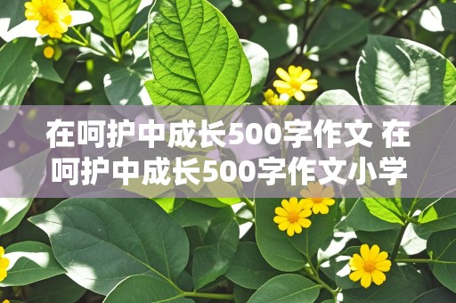 在呵护中成长500字作文 在呵护中成长500字作文小学