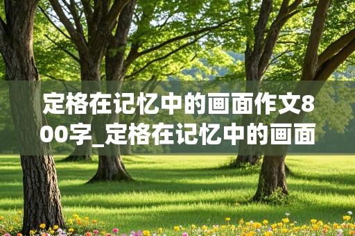 定格在记忆中的画面作文800字_定格在记忆中的画面作文800字记叙文