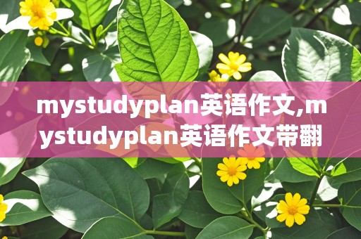 mystudyplan英语作文,mystudyplan英语作文带翻译