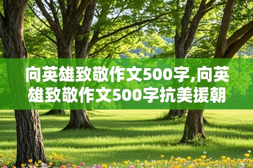 向英雄致敬作文500字,向英雄致敬作文500字抗美援朝