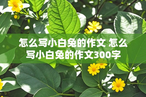 怎么写小白兔的作文 怎么写小白兔的作文300字