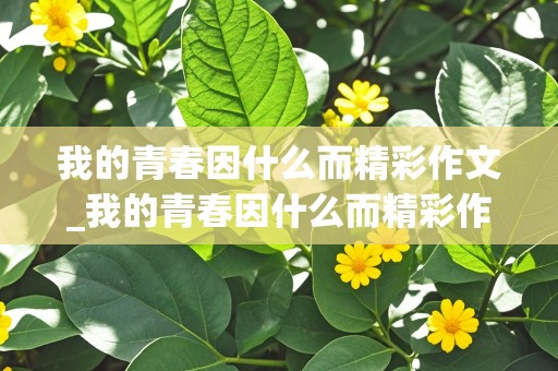 我的青春因什么而精彩作文_我的青春因什么而精彩作文800字