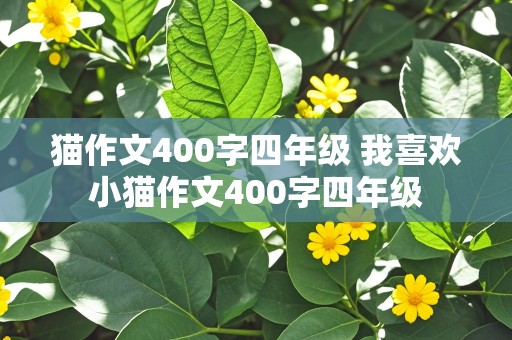 猫作文400字四年级 我喜欢小猫作文400字四年级