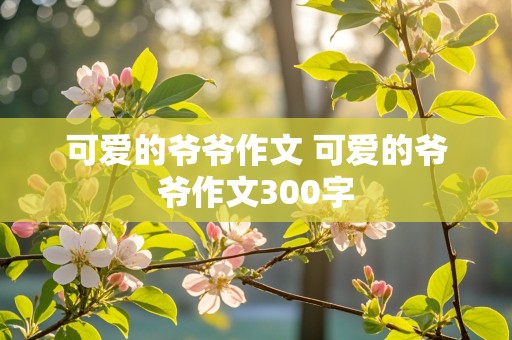 可爱的爷爷作文 可爱的爷爷作文300字