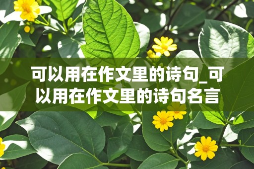 可以用在作文里的诗句_可以用在作文里的诗句名言