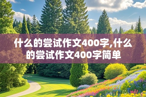 什么的尝试作文400字,什么的尝试作文400字简单