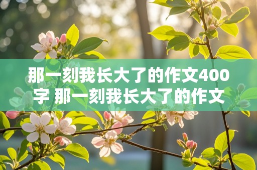 那一刻我长大了的作文400字 那一刻我长大了的作文400字的