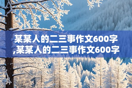 某某人的二三事作文600字,某某人的二三事作文600字初一