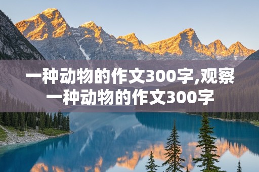 一种动物的作文300字,观察一种动物的作文300字